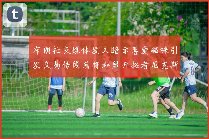 布朗社交媒体发文暗示喜爱猫咪引发交易传闻或将加盟开拓者尼克斯雷霆湖人