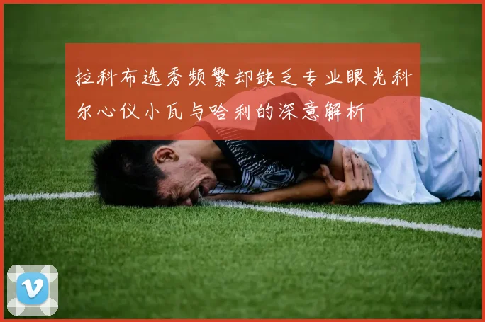 拉科布选秀频繁却缺乏专业眼光科尔心仪小瓦与哈利的深意解析
